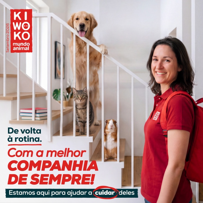 Kiwoko - De volta à rotina na melhor companhia